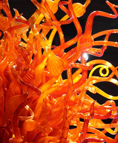Stravinsky’s Firebird Suite at The Noorda
